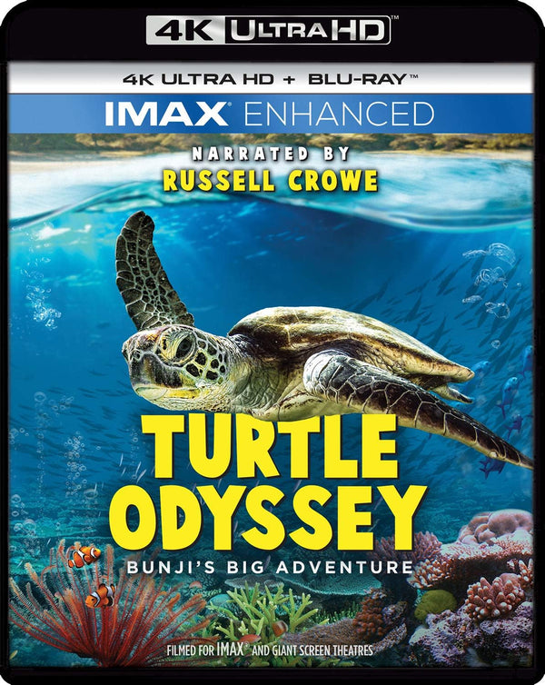 Turtle Odyssey (4K-UHD)